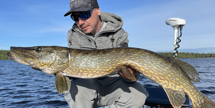 Lapland Pike Lapland Pike